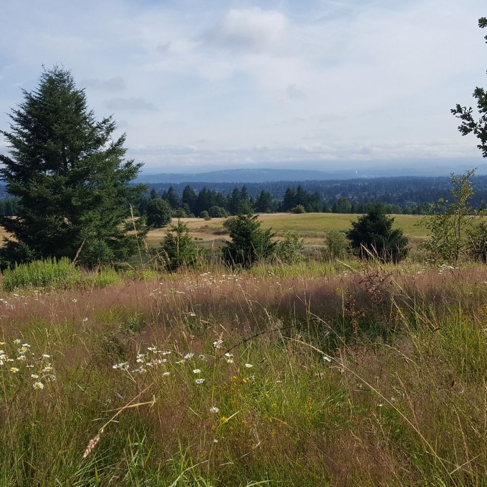 Meet your Posher, Marisa